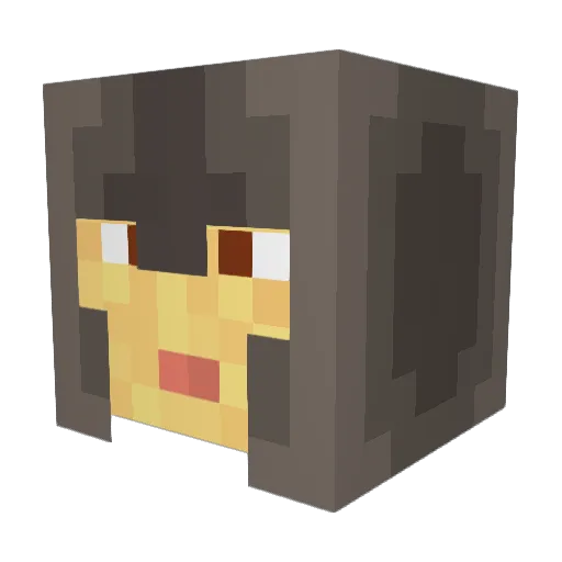Rael95 Minecraft avatar head, 3D render