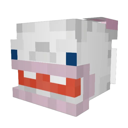 Rael_H8 Minecraft avatar head, 3D render