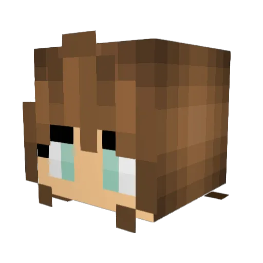 Raelona Minecraft avatar head, 3D render