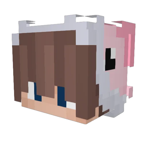 Raeonn Minecraft avatar head, 3D render
