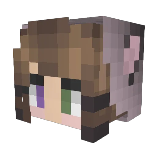 Raerwolf Minecraft avatar head, 3D render