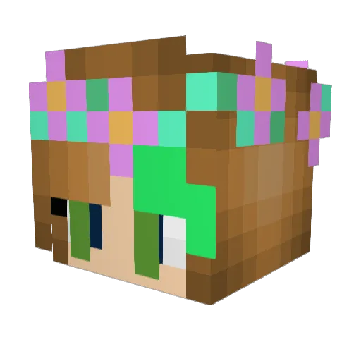 RaesReels Minecraft avatar head, 3D render