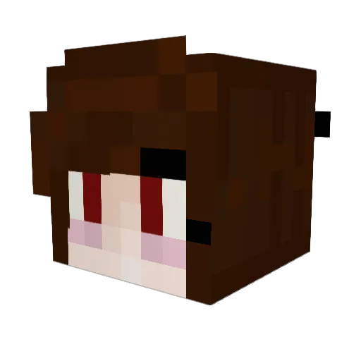RaetX Minecraft avatar head, 3D render