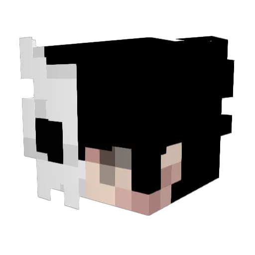 RaeuberHotzen Minecraft avatar head, 3D render