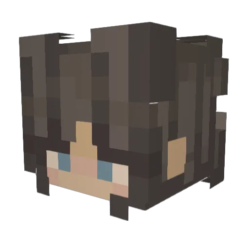 RaeuberX7 Minecraft avatar head, 3D render