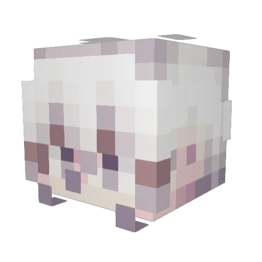 RaexVoid Minecraft avatar head, 3D render