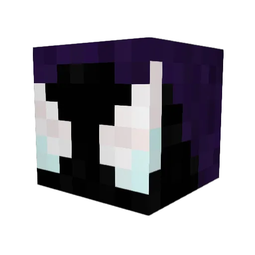 RafaBulga77 Minecraft avatar head, 3D render
