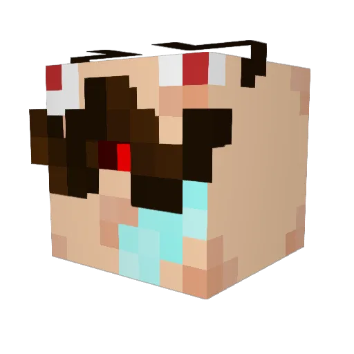RafaTheGuy Minecraft avatar head, 3D render