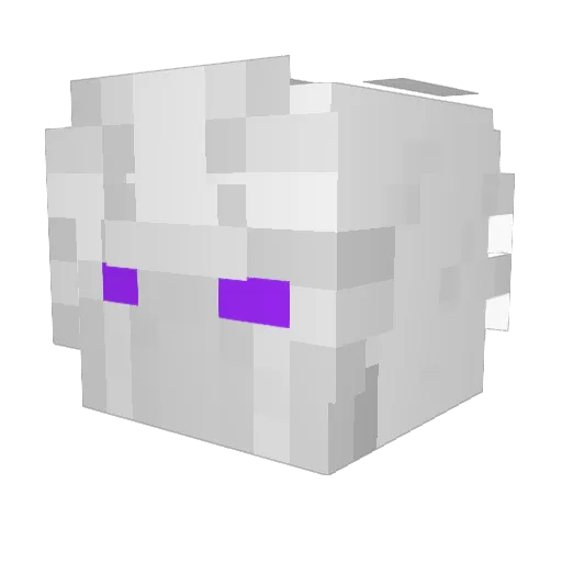 RafaWTF Minecraft avatar head, 3D render