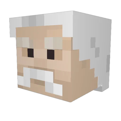 Rafa_017 Minecraft avatar head, 3D render