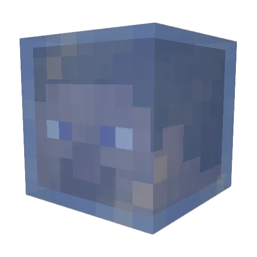 Rafa_algumacoisa Minecraft avatar head, 3D render