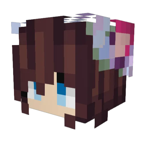 Rafa_lita Minecraft avatar head, 3D render
