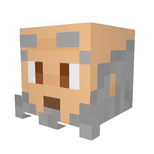 Rafaamm Minecraft avatar head, 3D render