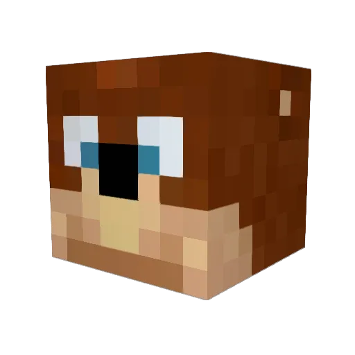 RafaelBlock Minecraft avatar head, 3D render