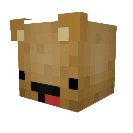 Rafael_Garcia07 Minecraft avatar head, 3D render