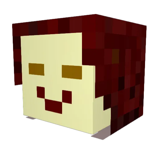 Rafaeloide Minecraft avatar head, 3D render