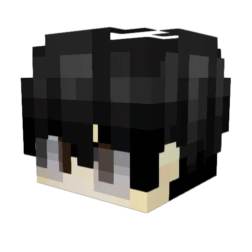 Rafaels10 Minecraft avatar head, 3D render