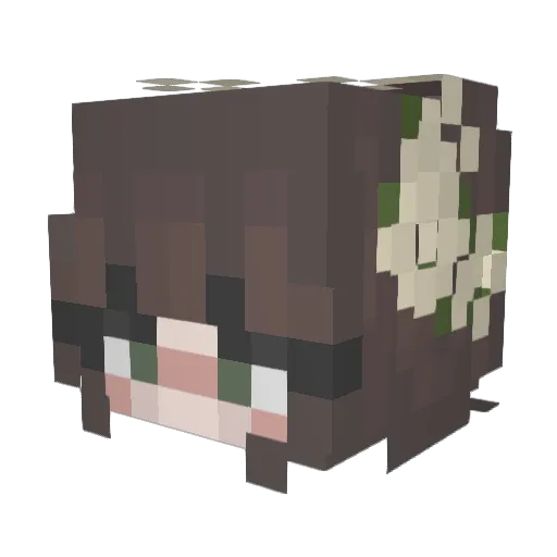 Rafafouillle Minecraft avatar head, 3D render