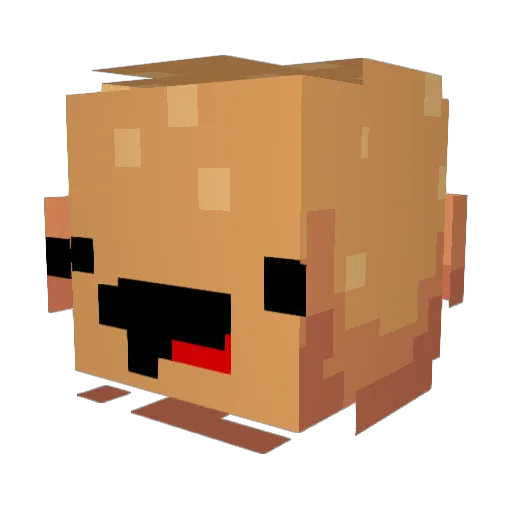 RafanRhoad Minecraft avatar head, 3D render