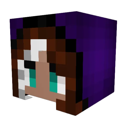 Rafawicc Minecraft avatar head, 3D render