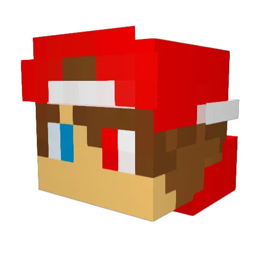 Rafax04 Minecraft avatar head, 3D render