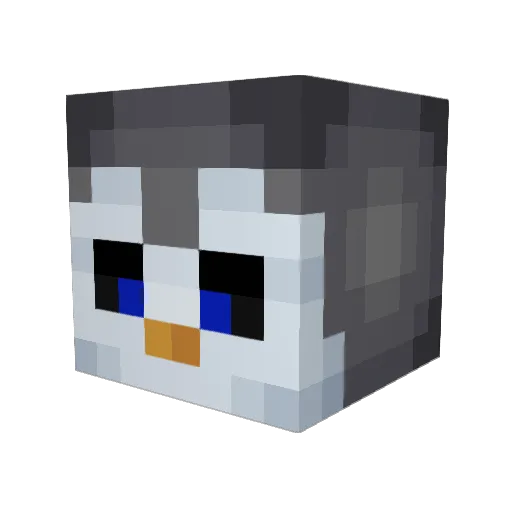 Rafax24 Minecraft avatar head, 3D render