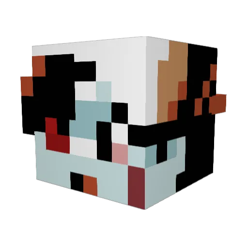 Rafaze10 Minecraft avatar head, 3D render