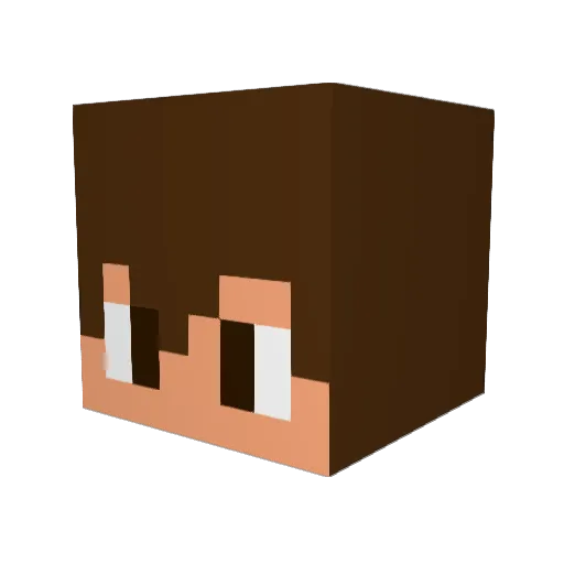 Rafe10 Minecraft avatar head, 3D render
