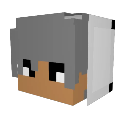 Rafer0484 Minecraft avatar head, 3D render