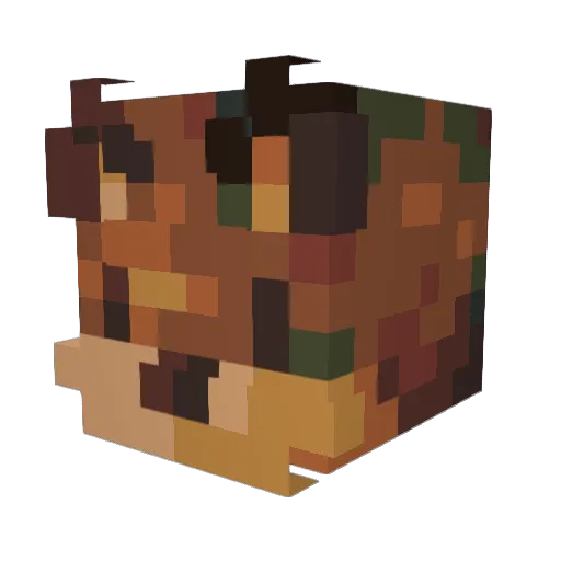 Raff27 Minecraft avatar head, 3D render