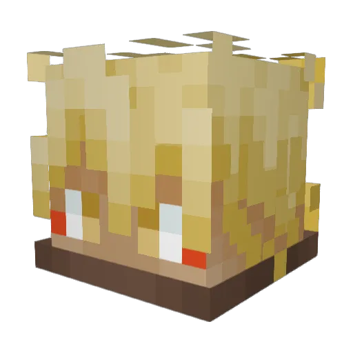 Raff5811 Minecraft avatar head, 3D render