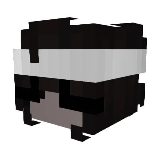 Raffaela302 Minecraft avatar head, 3D render