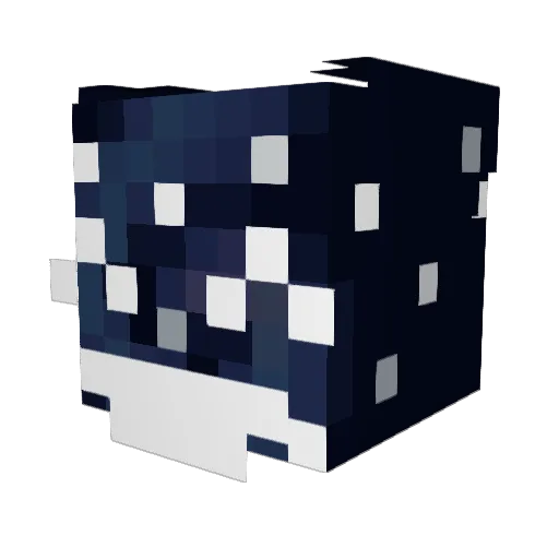 Rafferooni Minecraft avatar head, 3D render