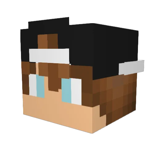 Rafffjansen Minecraft avatar head, 3D render