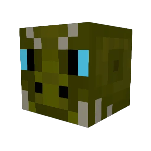 RaffieBoomBoom Minecraft avatar head, 3D render