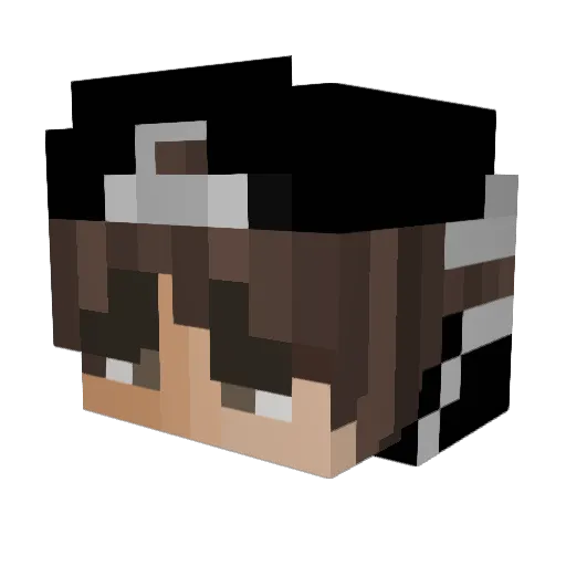 Raffiniert_3003 Minecraft avatar head, 3D render