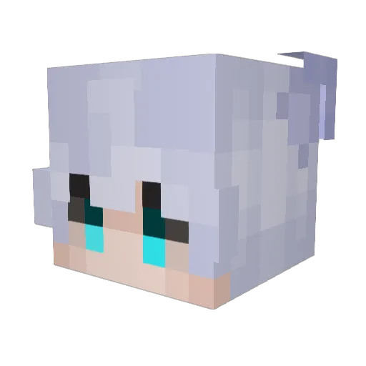 Raffish_Cat Minecraft avatar head, 3D render
