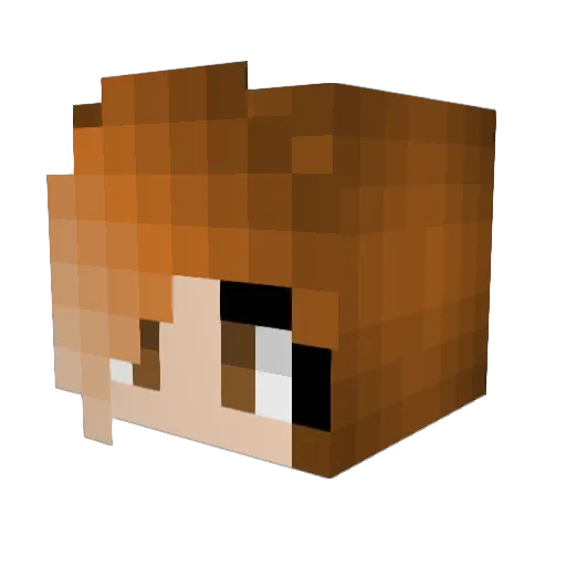Raffzahn10 Minecraft avatar head, 3D render