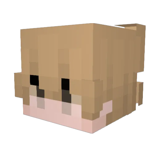 RafiBlockBuster Minecraft avatar head, 3D render
