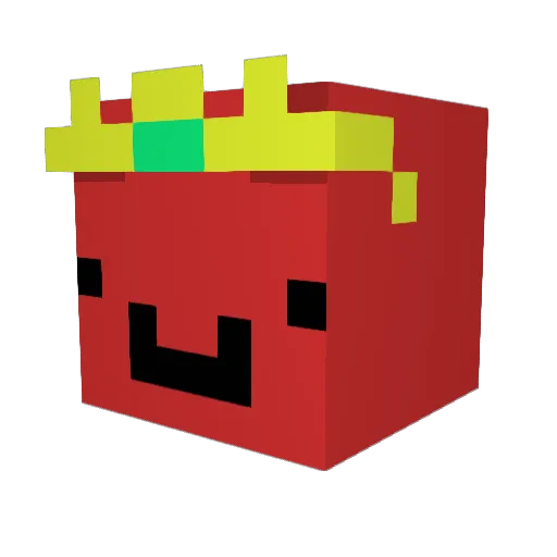 Rafi_Donk Minecraft avatar head, 3D render