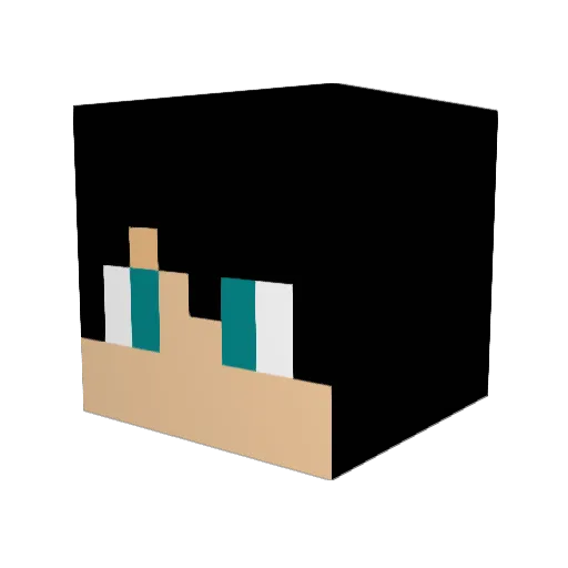 RafikNSG_YT Minecraft avatar head, 3D render