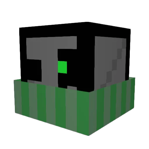 RafinhaCid Minecraft avatar head, 3D render