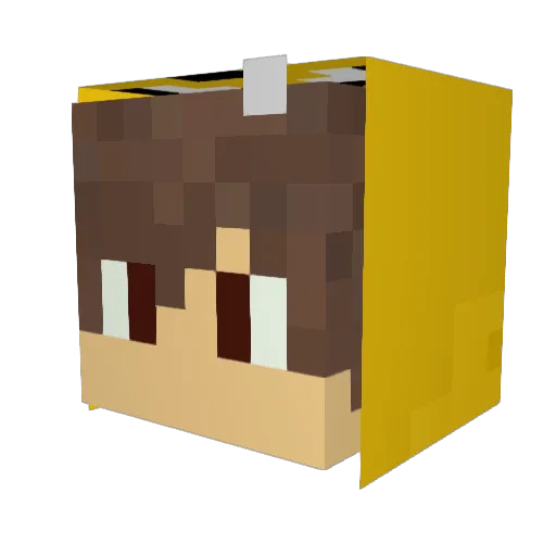 RafinhaGamer157 Minecraft avatar head, 3D render