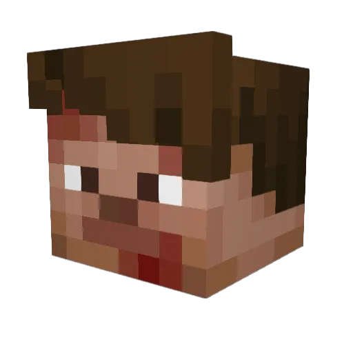 RafinhaPTGamer Minecraft avatar head, 3D render