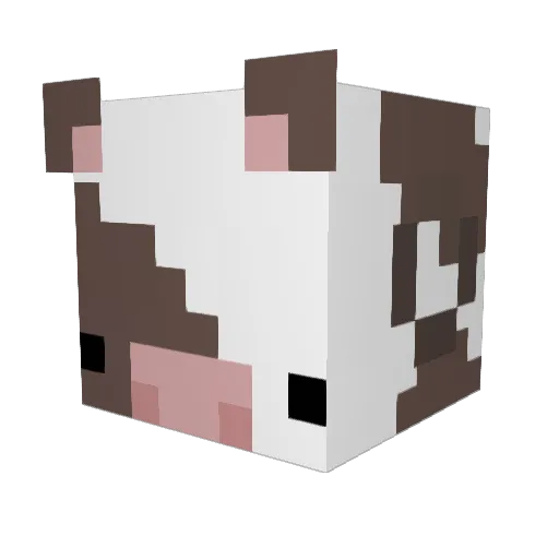 Rafl_ Minecraft avatar head, 3D render