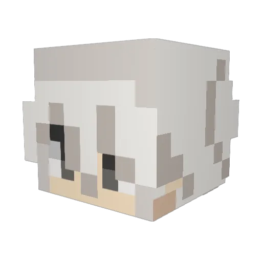 Raflex1301 Minecraft avatar head, 3D render