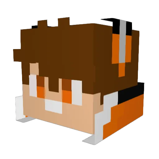 Rafoxing Minecraft avatar head, 3D render