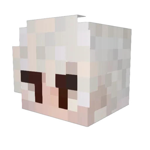 Rafshik Minecraft avatar head, 3D render