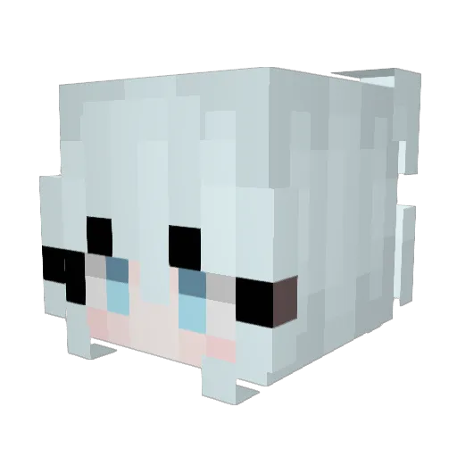 Rafti__ Minecraft avatar head, 3D render
