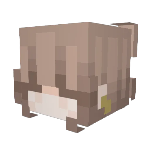 RagdollGG Minecraft avatar head, 3D render